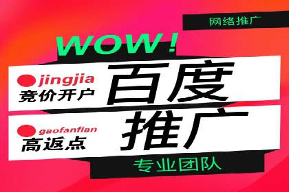 百度竞价排名案例：如何快速提升品牌知名度